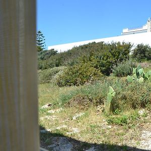 Incanto delle Ninfe